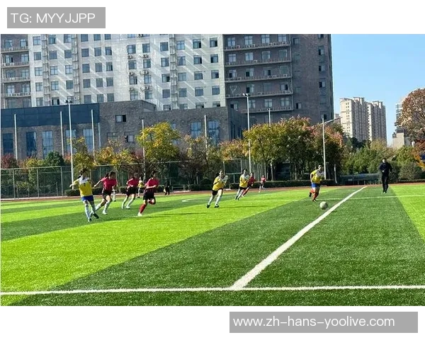 少年足球队的成长之路：拼搏与友谊交织的青春故事